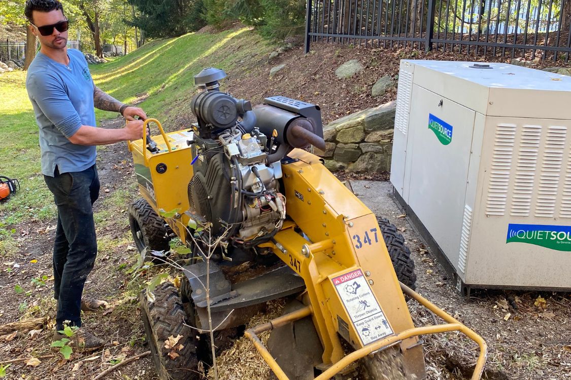 stump-grinding-Watertown-CT-.jpg