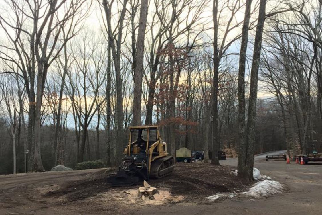 tree-stump-grinding-Watertown-CT-1-1.jpg