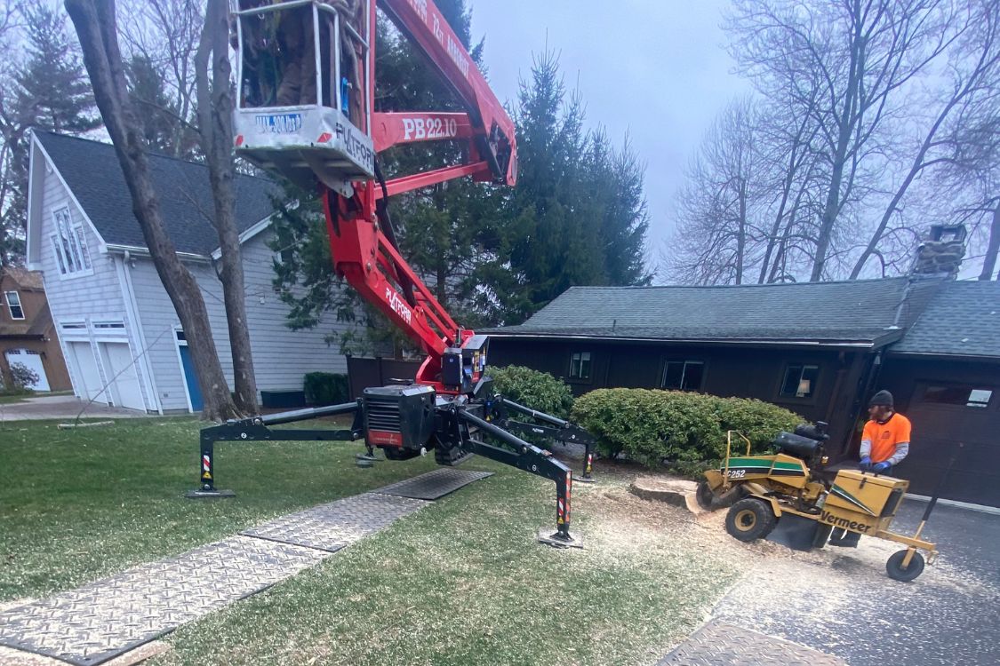 tree-stump-grinding-Watertown-CT.jpg